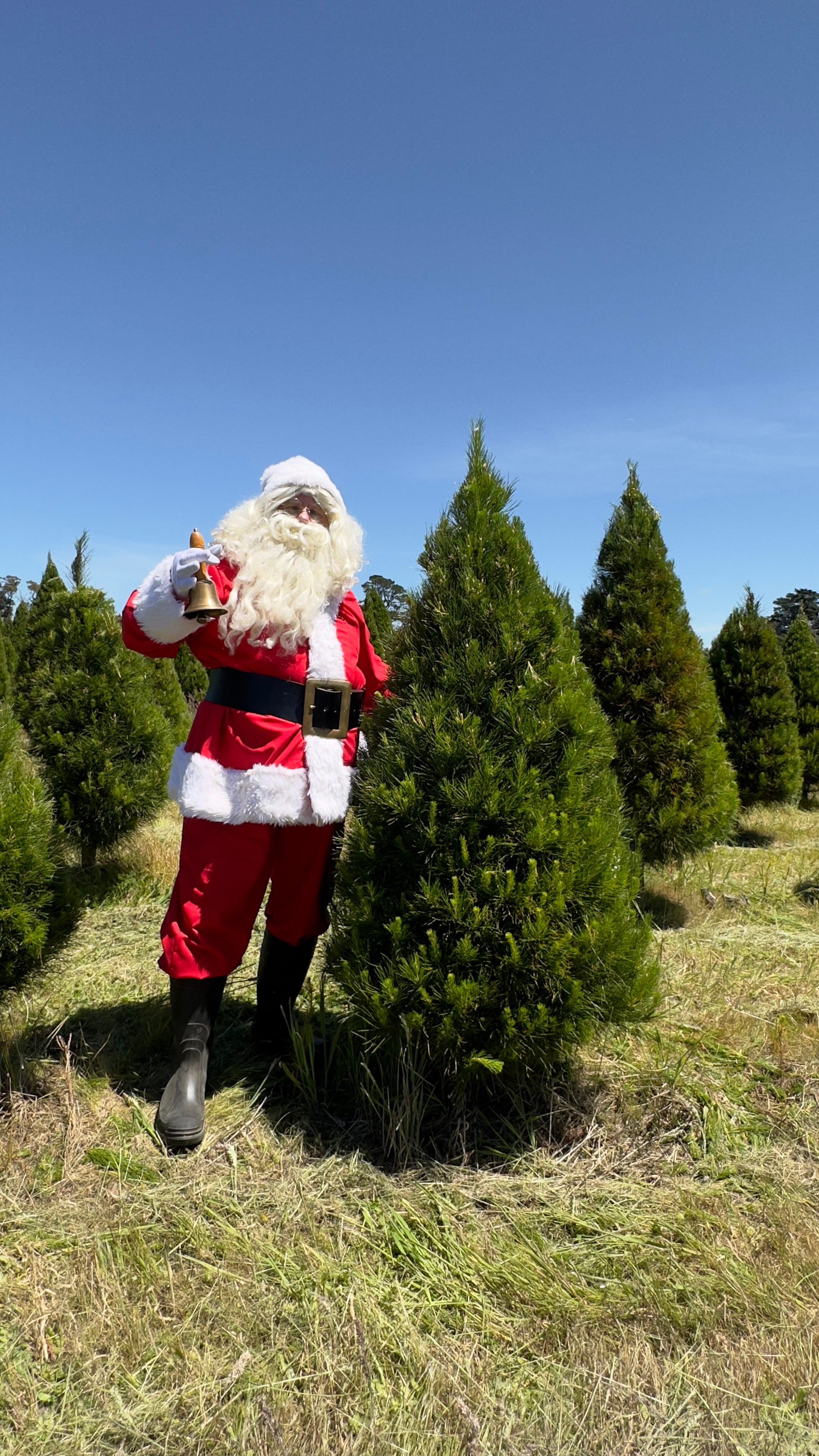 5ft Christmas Tree Premium