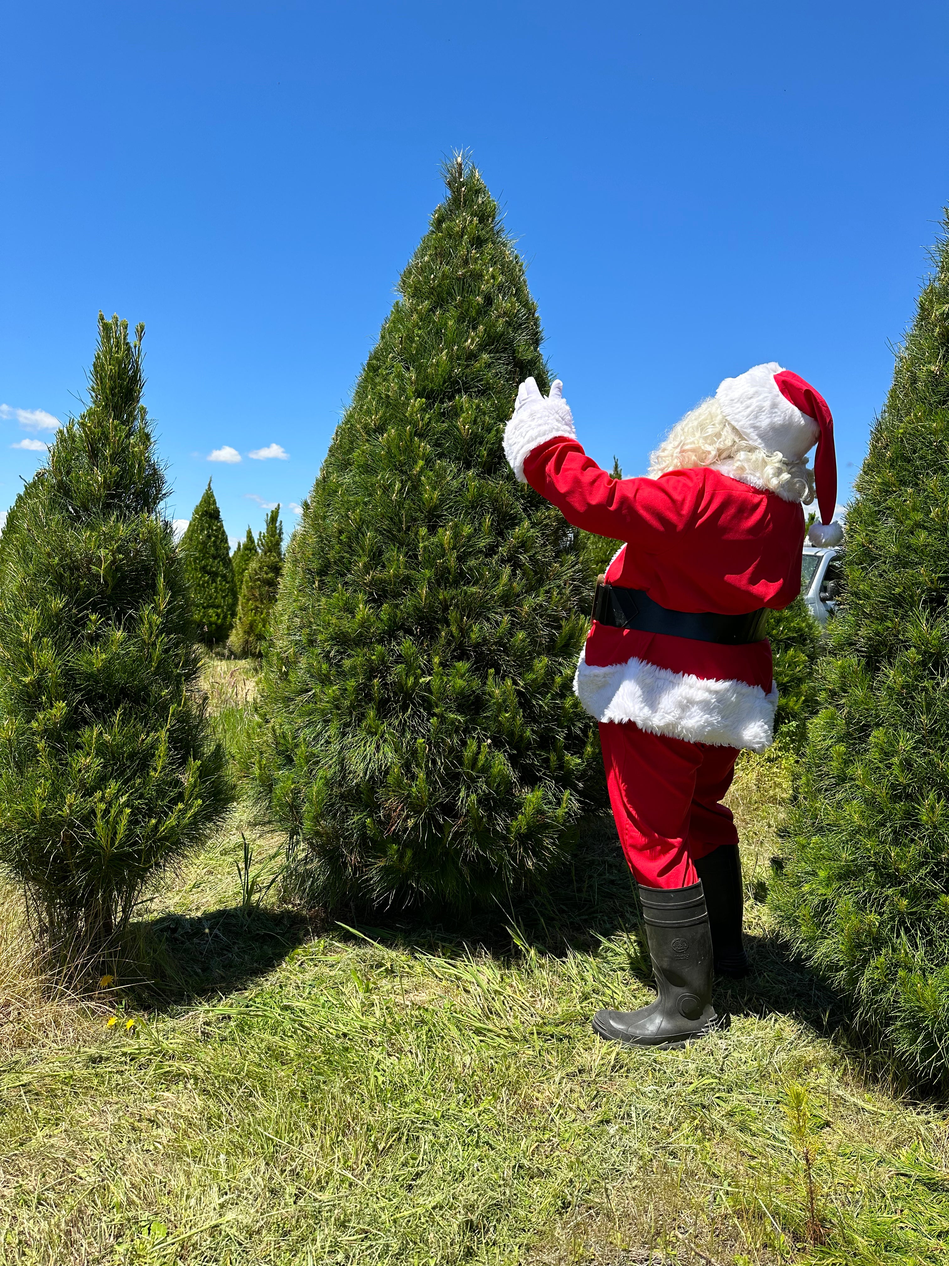 8ft Christmas Tree Premium